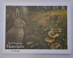 Peter Bergmann signiert - Hasenjahr / Bilderbuch ab Fr. 16.-