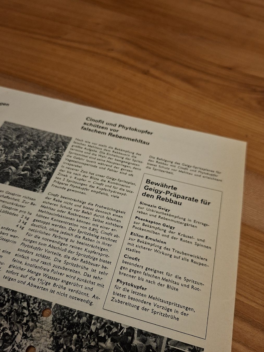 Documenti: Geigy Berater Basel Prospekt 1961 Schädlingsbekämpfung – Usato da Ganterschwil venduto da HeidiuPeter 5