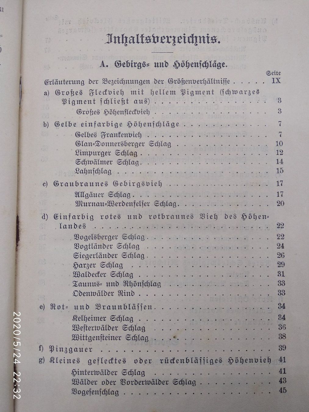 Libri: RICHTEN VON RINDERN – Usato da Goldach venduto da Gaip 4