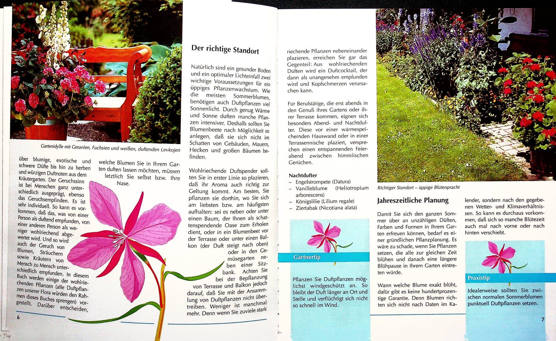 Libri: Mein Duftgarten Gartenpraxis aktuell – Usato da Reitnau venduto da Zaomir 3