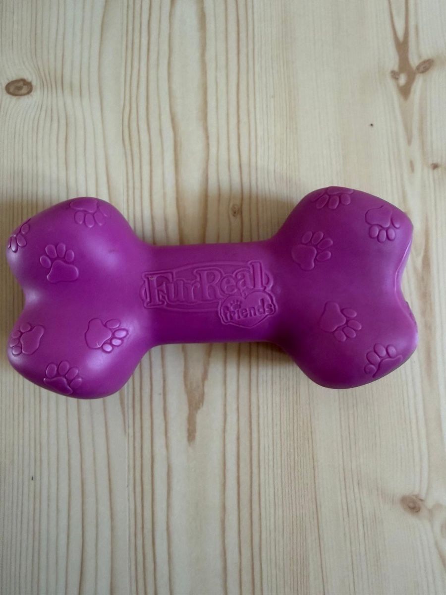Hasbro Giocattoli: Furreal Hund Cookie von Hasbro – Usato da Beinwil (Freiamt) venduto da Zpower 2