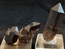 2 Rauchquartz-Spitzen/in Sichtbox/auf Sockel/dunkelbraun