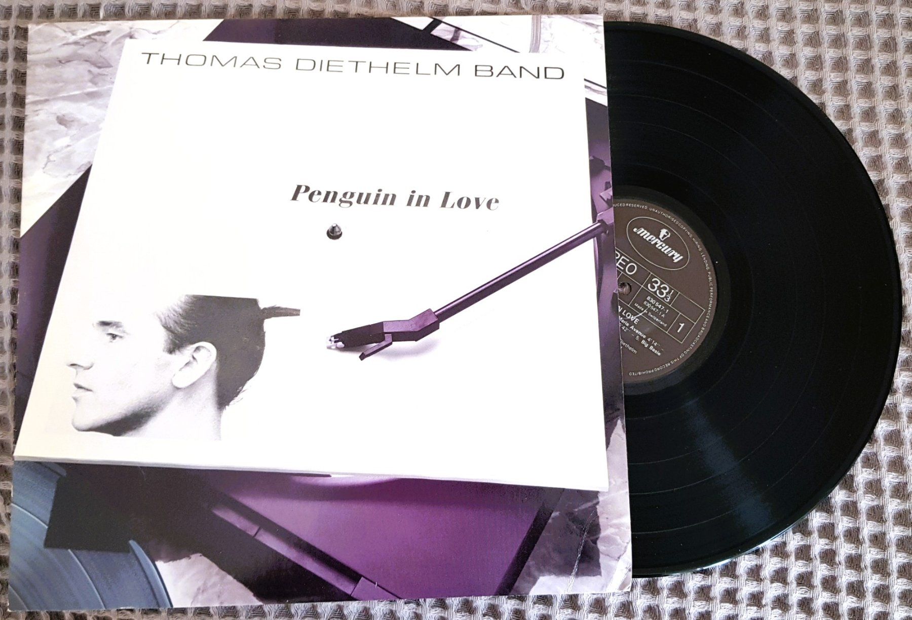 Dischi in vinile: LP Thomas Diethelm Band "Penguin in Love" – Usato da Winterthur venduto da Joschko 2