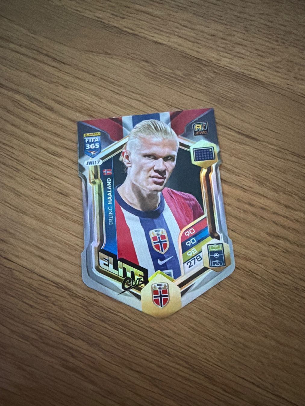 Panini Sammelbilder & Trading cards: Erling Halland Elite cut – Gebraucht aus Zürich von Maxima_ZH