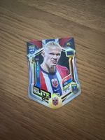 Erling Halland Elite cut