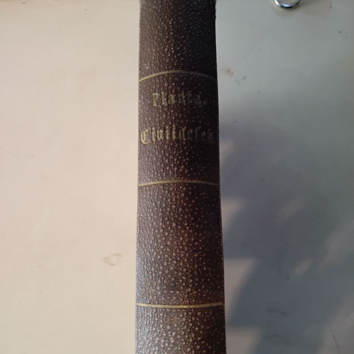Libri: Bündnerisches Zivielgestzbuch – Usato da Bad Ragaz venduto da Pizalun 3