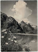 BE 195 Am Grimselsee 1948 GF Stempel GRIMSEL HOSPIZ