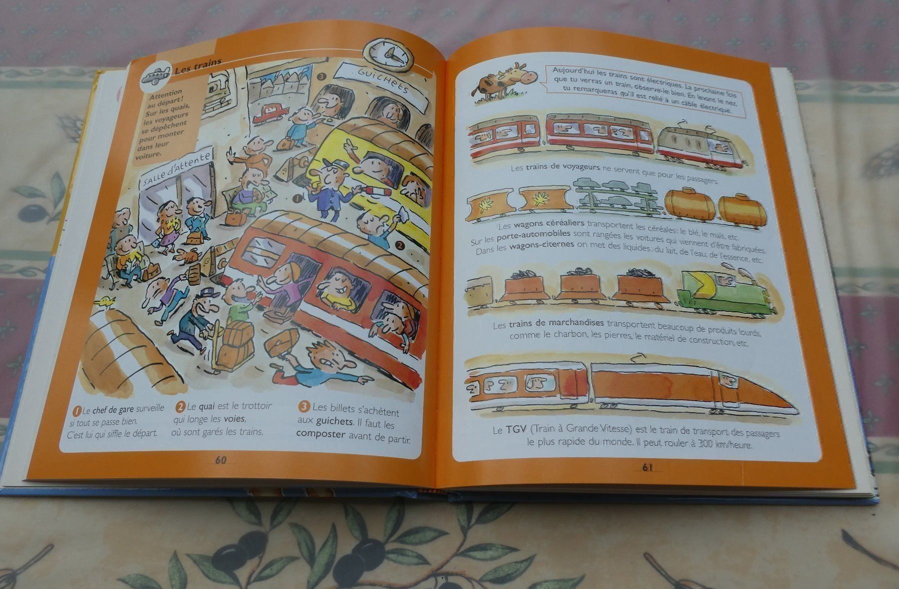 Libri: Encyclopédie illustrée – Nuovo (secondo la descrizione) da Troistorrents venduto da Marion70 1