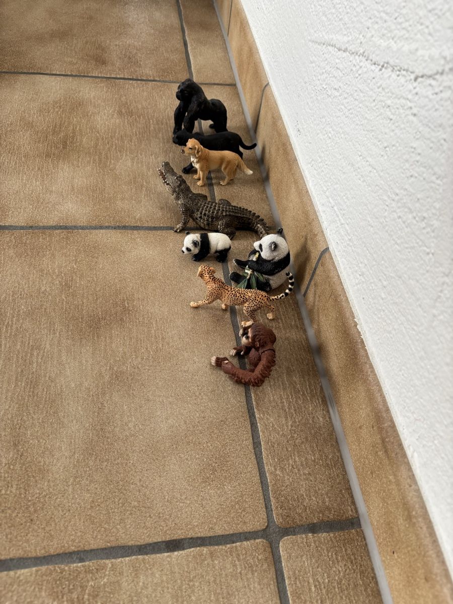 Schleich Figurines: 8 Schleich Tiere – D'occasion à Bachenbülach par Queen_K 2