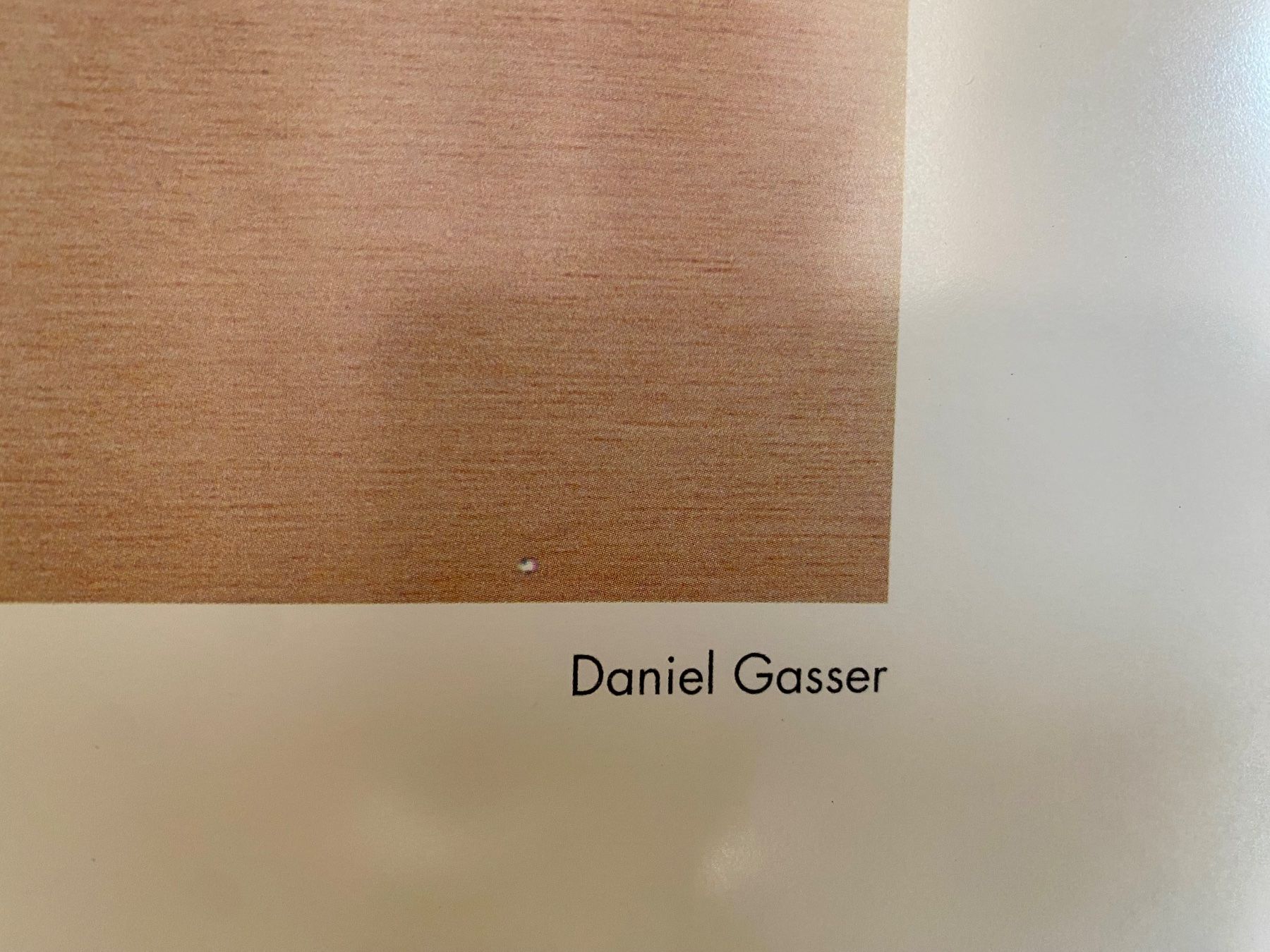 Foto & Immagini: Sinnlicher Kunstdruck Daniel Gasser 93 – Usato da Guarda venduto da cha_tns9 4