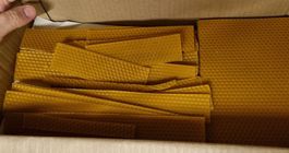 Bienenwachsplatten Mittelwände Imkerbedarf Mittelwandplatten