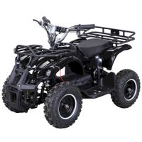 Actionbikes TORINO Elektro-Kinderquad