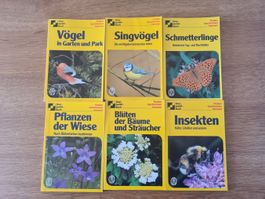 6 BLV Dreipunkt Bücher Naturführer Vögel, Insekten, Pflanzen