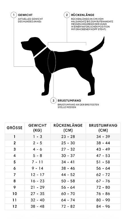 Abbigliamento: Cloud 7 Hundemantel – Usato da Basel venduto da aganz 2
