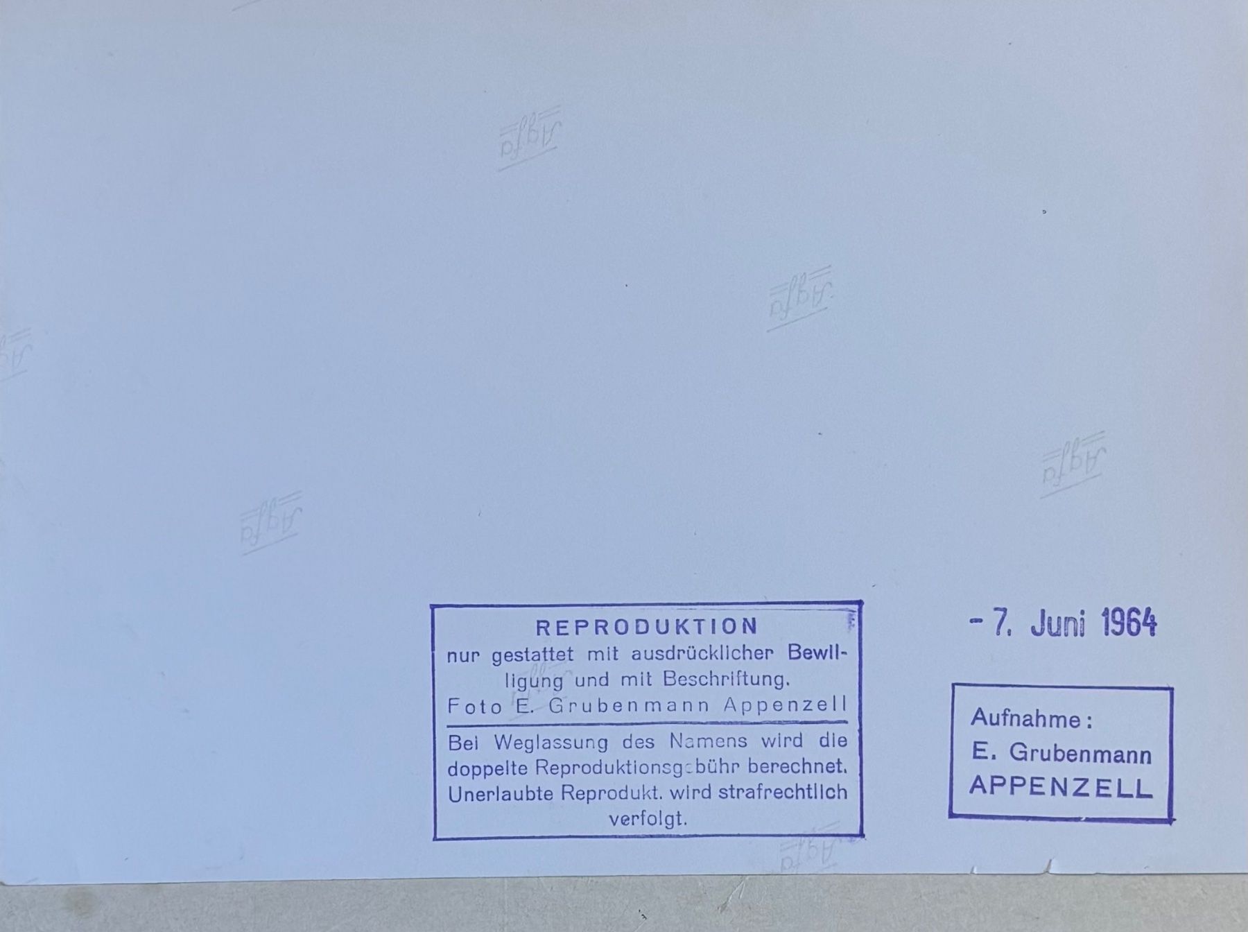 Cartoline postali: Foto E. Grubenmann, Appenzell, Trachten, 13 x 18 cm – Usato da Frauenfeld venduto da Merk52 1