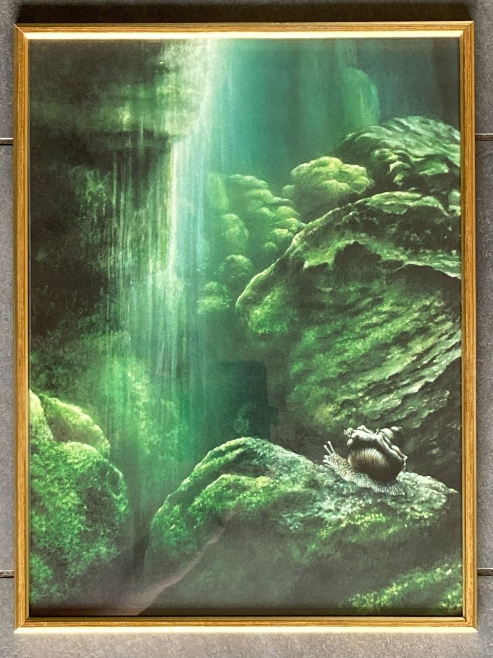 Foto & Immagini: FRIEDRICH  HECHELMANN   Schnecke /  Kunstdruck von Gemälde – Usato da Subingen venduto da ArtBead 4
