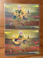SportZoo City Watch x/95 SCB Bern komplett