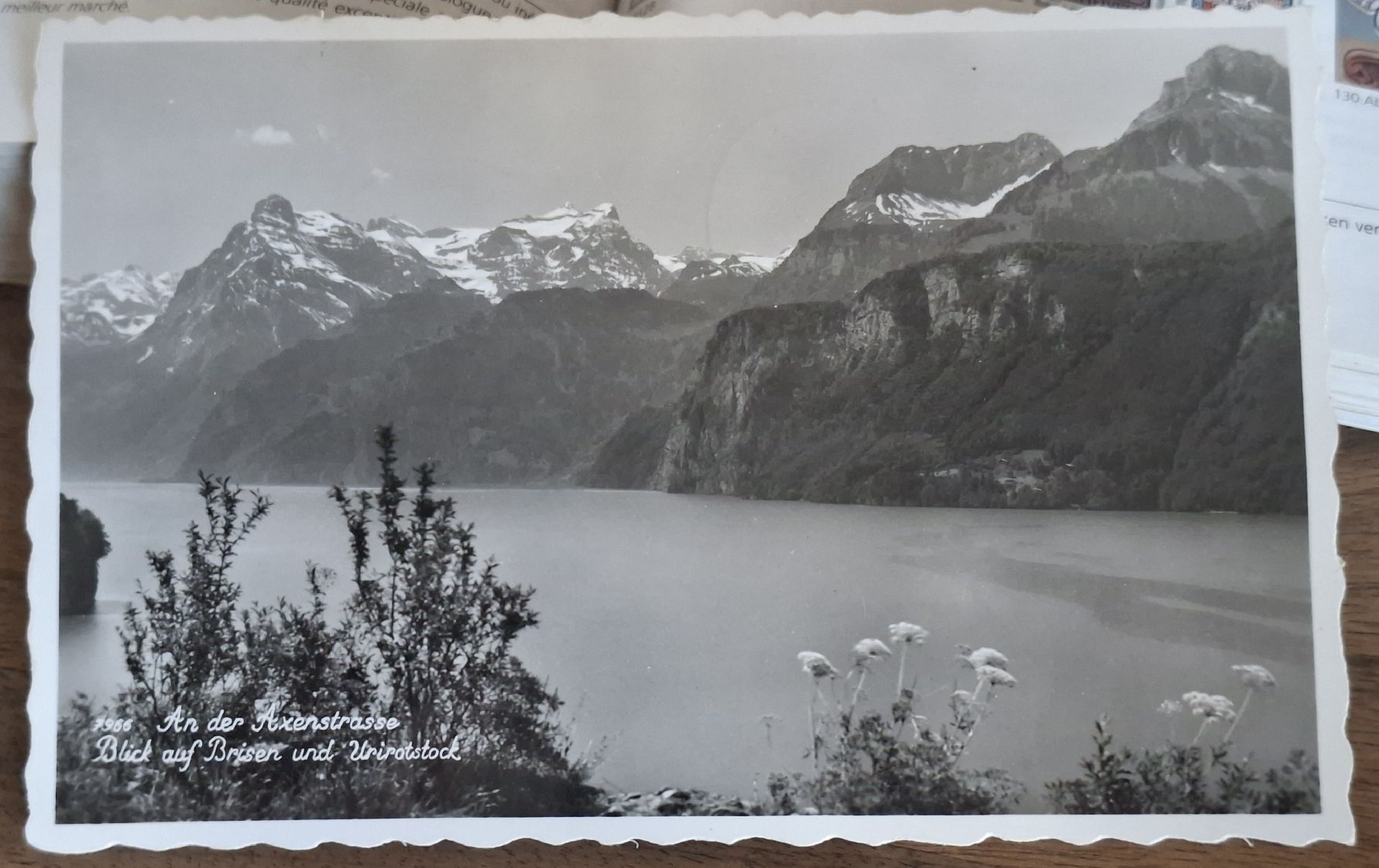 Cartoline postali: Ansichtskarte An der Axenstrasse / Rütli  – Usato da Balgach venduto da SIMEON27 1