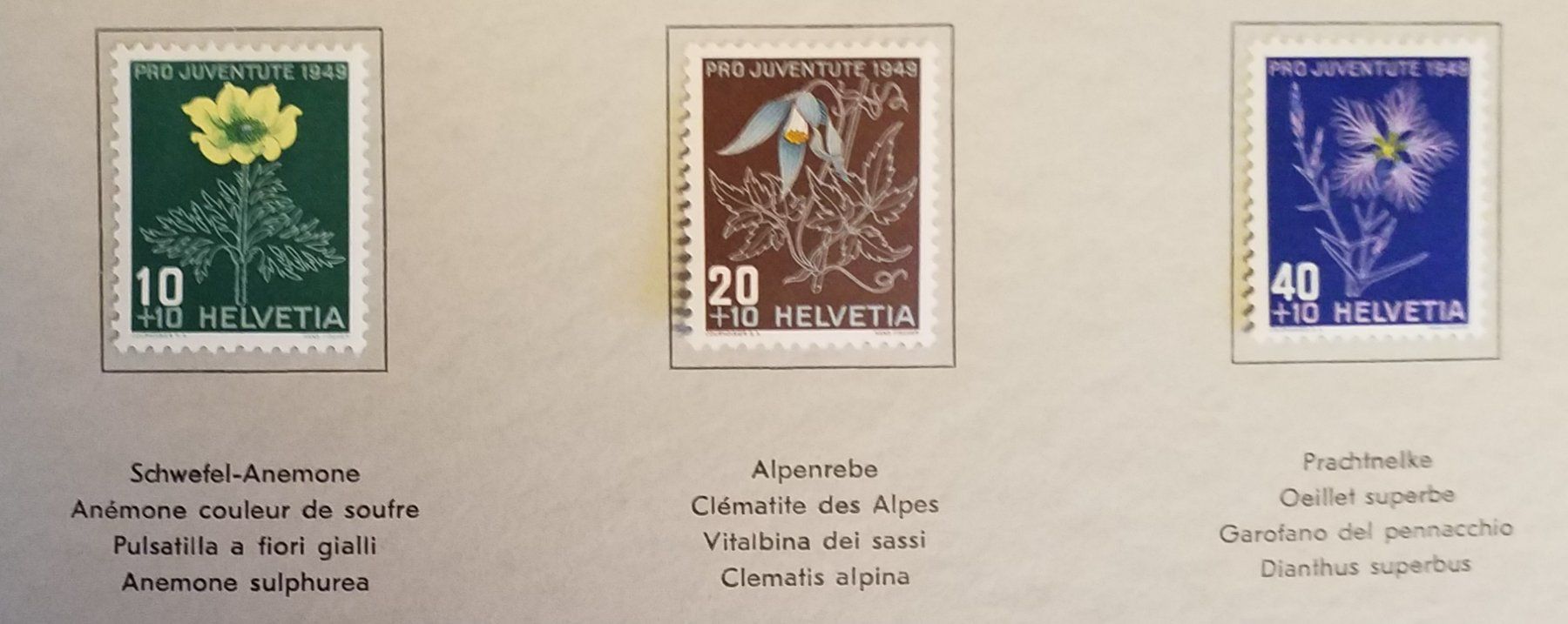 Alle Briefmarken: 1949, Geschenkheft Pro Juventute Bergblumen Kt. Lp – Neu (gemäss Beschreibung) aus Baden von Eggi 6