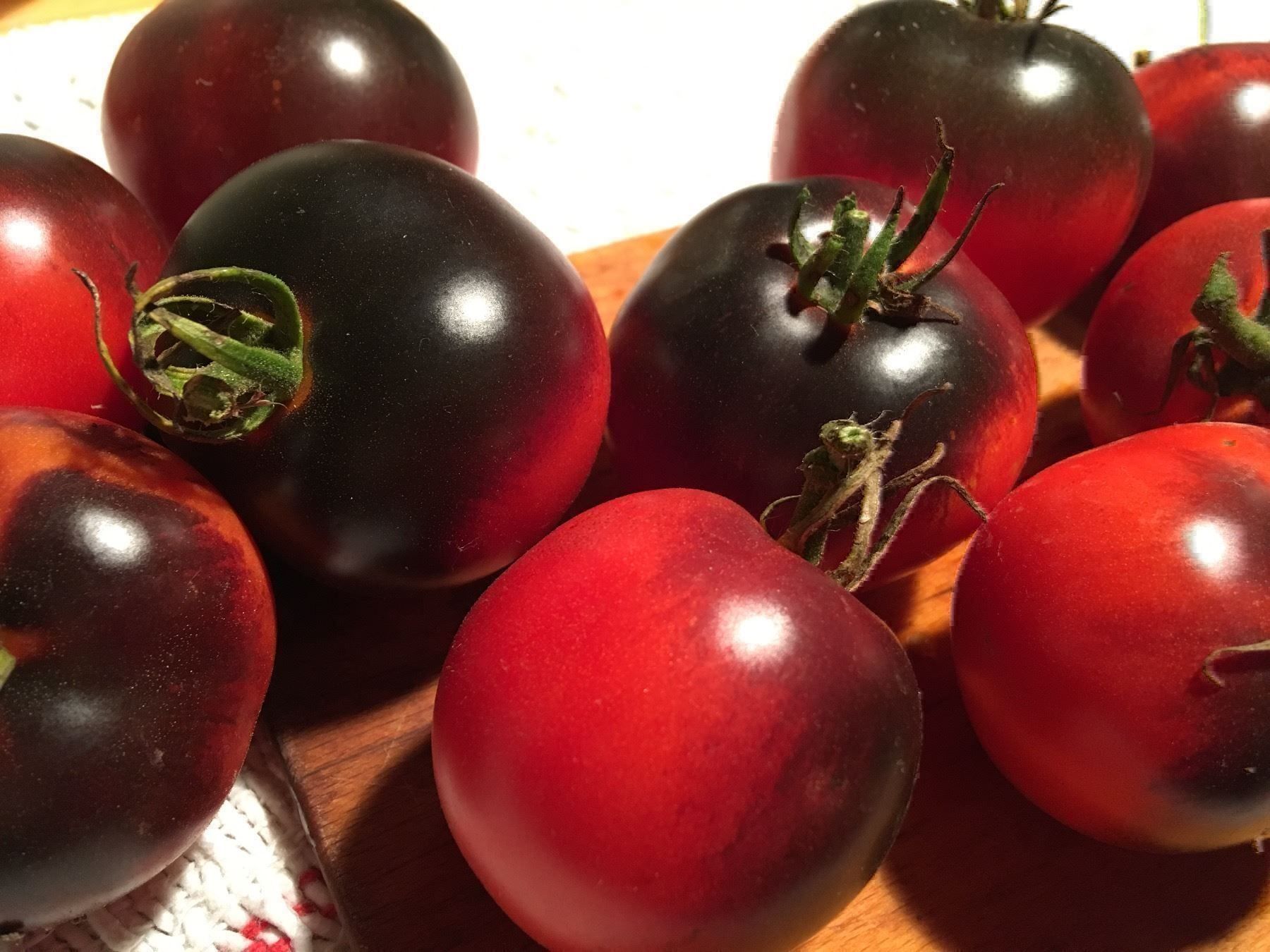 Piante & sementi: 100 Samen Tomate AMERICAN BLUE – Nuovo (secondo la descrizione) da Ehrendingen venduto da VerveinaSamen 1