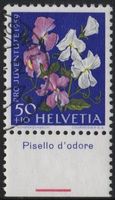 40 Rp. Gartenwicke mit TAB (Pisello d'odore)
