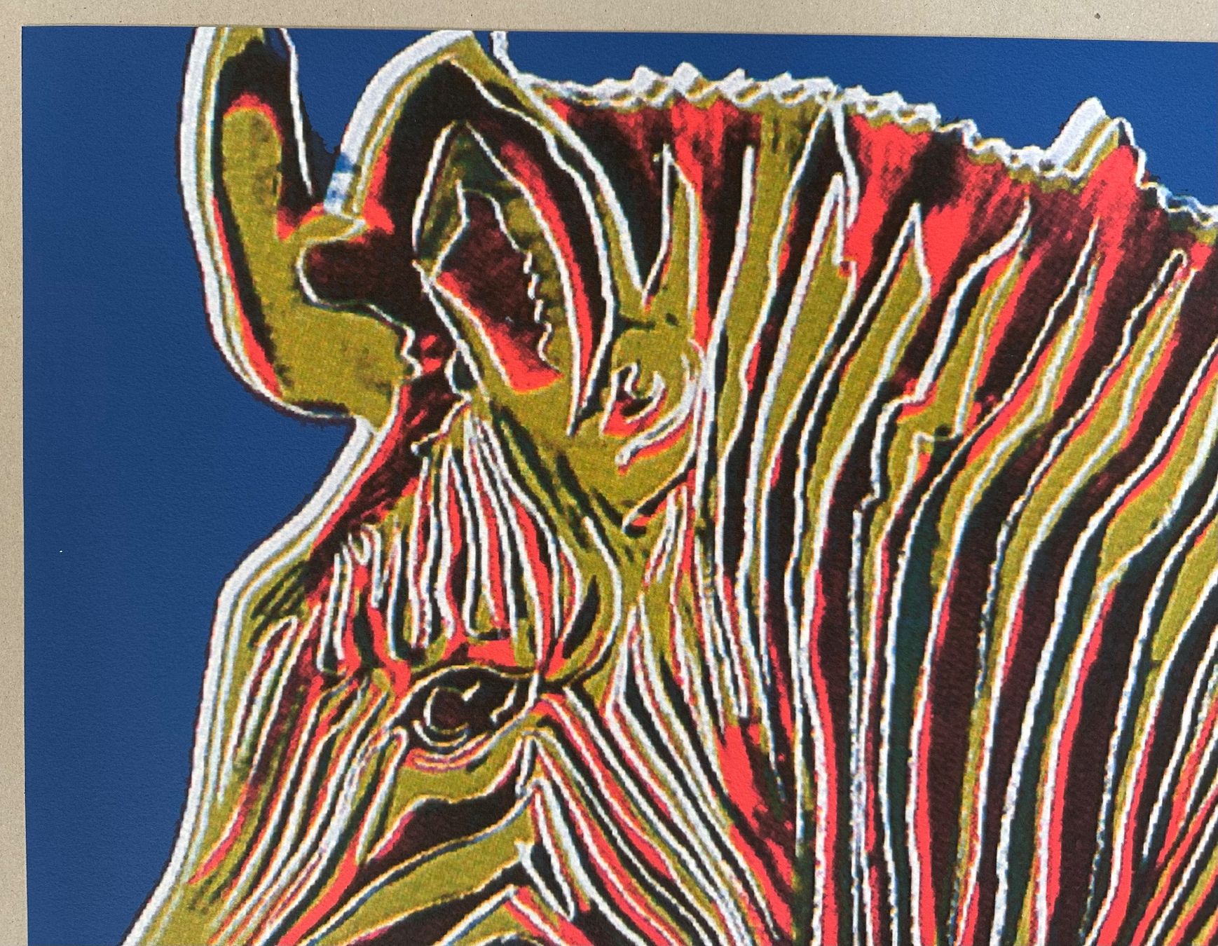 Foto & Immagini: Warhol: POP Art, Zebra 309/2400 – Nuovo (secondo la descrizione) da Meilen venduto da Smgdesign 4
