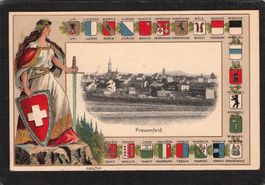 Prägekarte Frauenfeld TG , gel. 1909