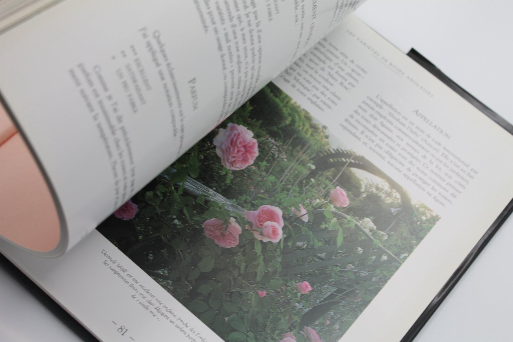 Bücher: Les Roses Anglaises – David Austin – Gebraucht aus Lachen SZ von ratata 1