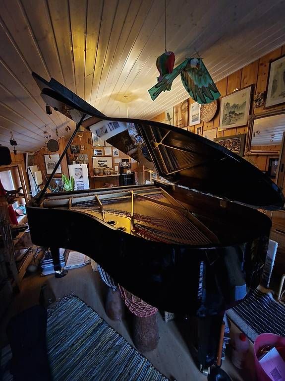 Strumenti musicali: Piano RX3 Conservatory 11000 fr – Usato da Les Bois venduto da chr_f8vy 3