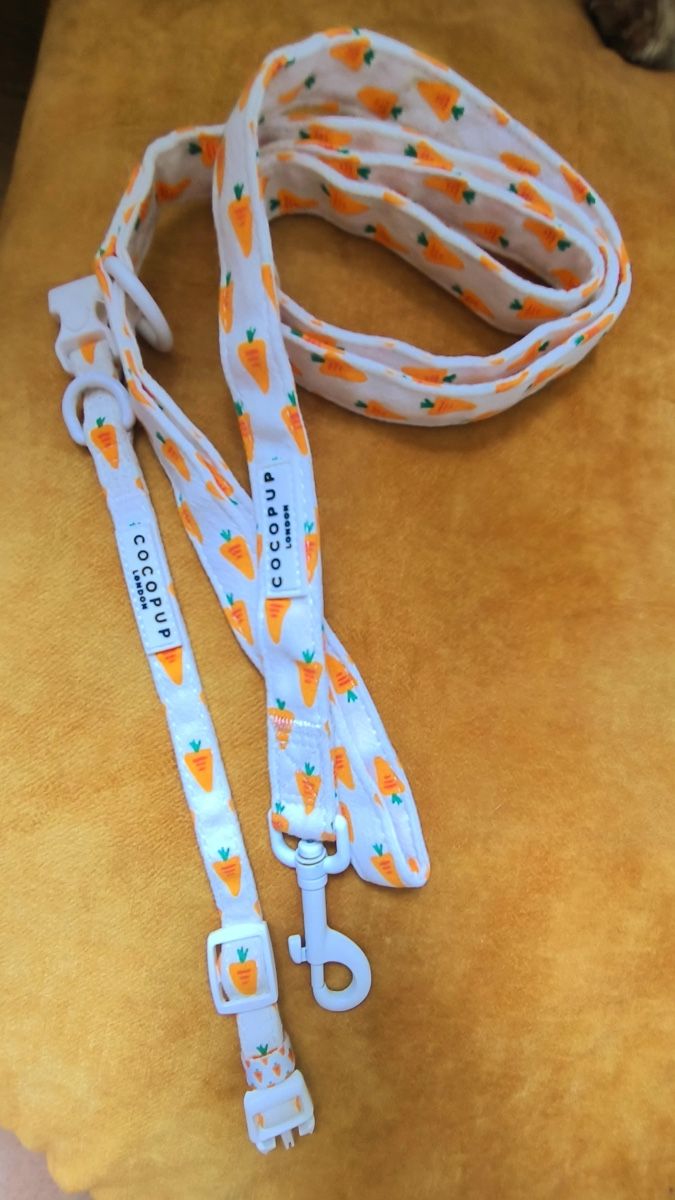 Leine & Halsband: Hundeleine – Neu (gemäss Beschreibung) aus Seuzach von laj_p6gj 4