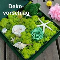 Natur-Moos dunkelgrün zu Deko-Zwecken 30g