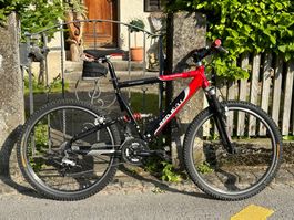 Red Bull Fahrrad MTB / Downhill