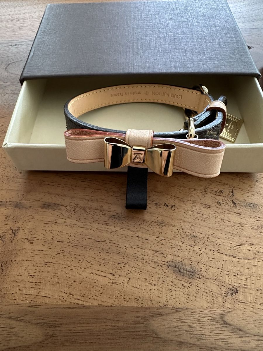 Guinzagli & Collari: Hundehalsband – Nuovo e nell'imballaggio originale da S. Antonino venduto da Swissbutler