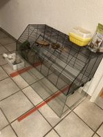 Käfig für Nagetiere