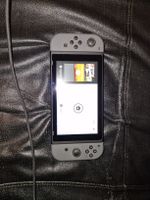 Nintendo Schwitch
