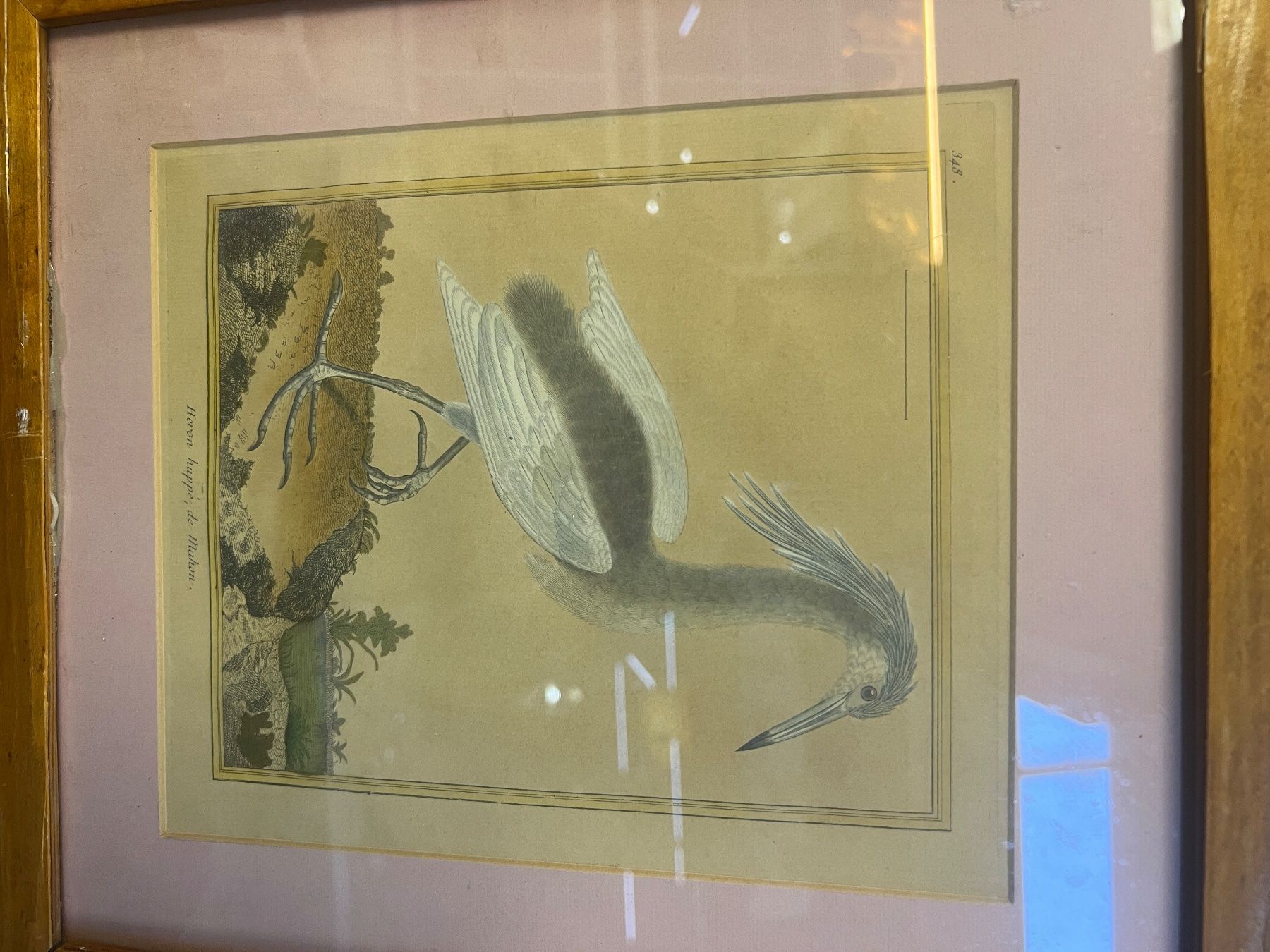 Grafiken & Lithographien: LITHOGRAPHIE HÉRON HUPPÉ – Gebraucht aus Genève von Qanil77 1