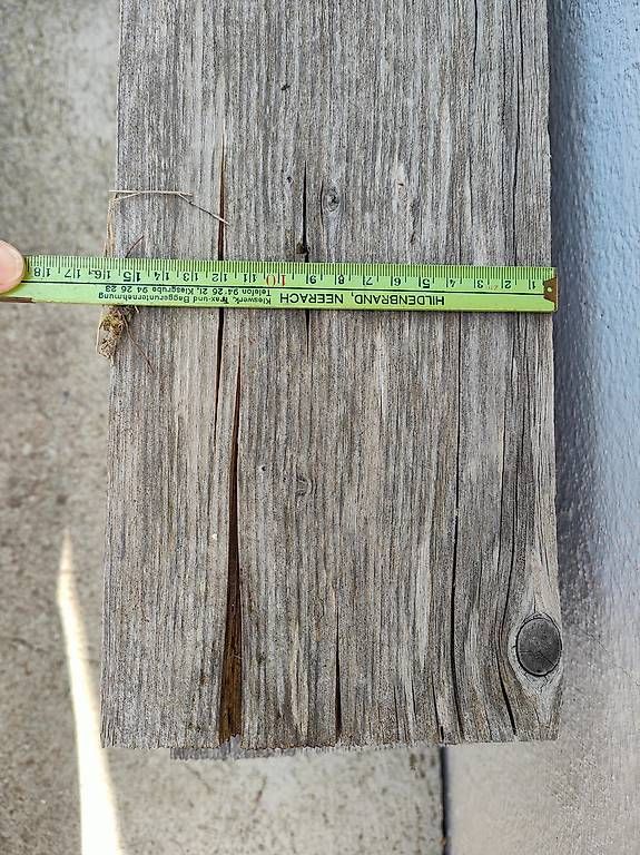 Articoli in legno: Holzbalken Massiv 6x – Usato da Recherswil venduto da beawuethrich 1