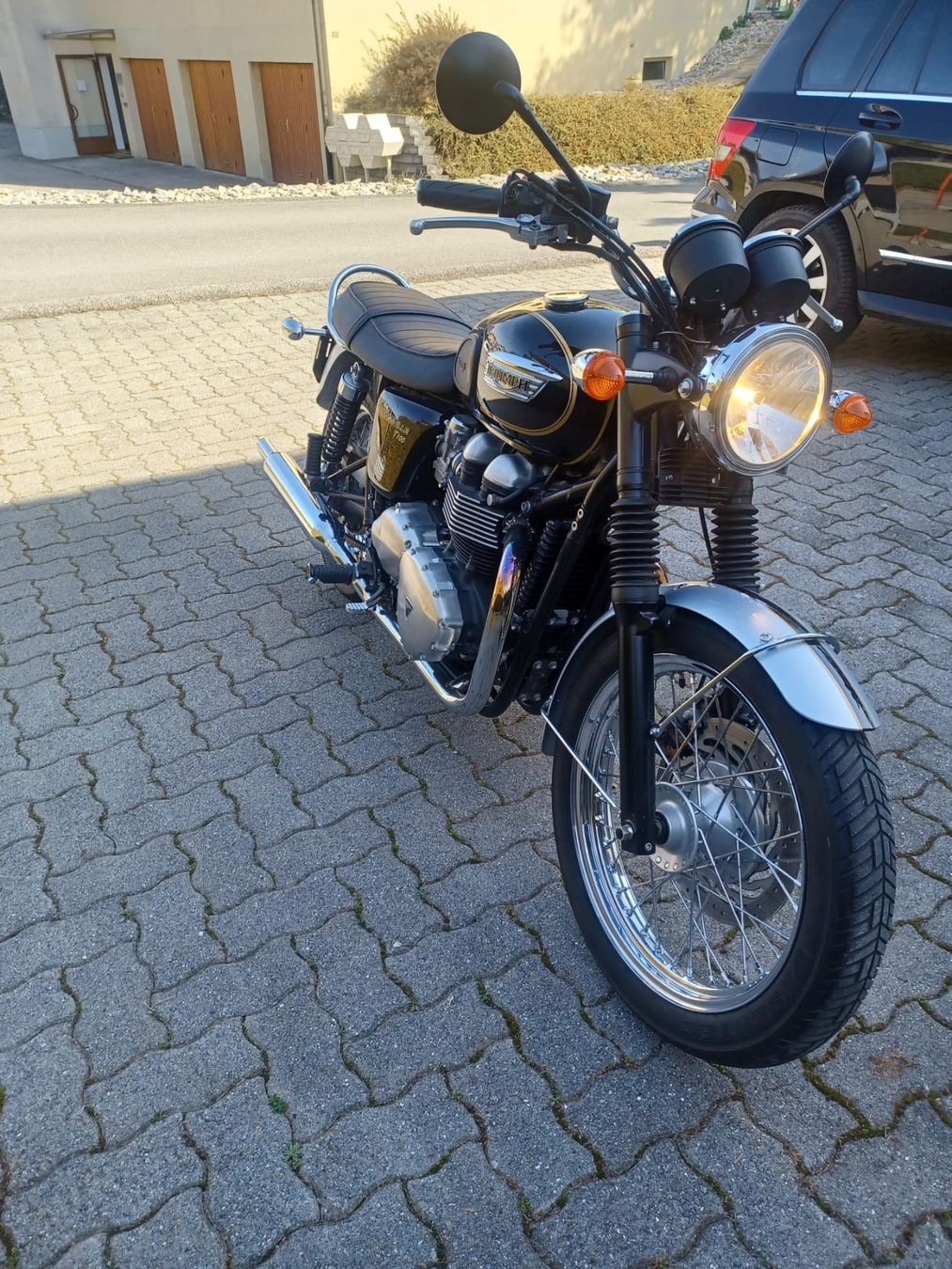 Triumph Altro: Triumph – Usato da Martigny venduto da hunter02 7