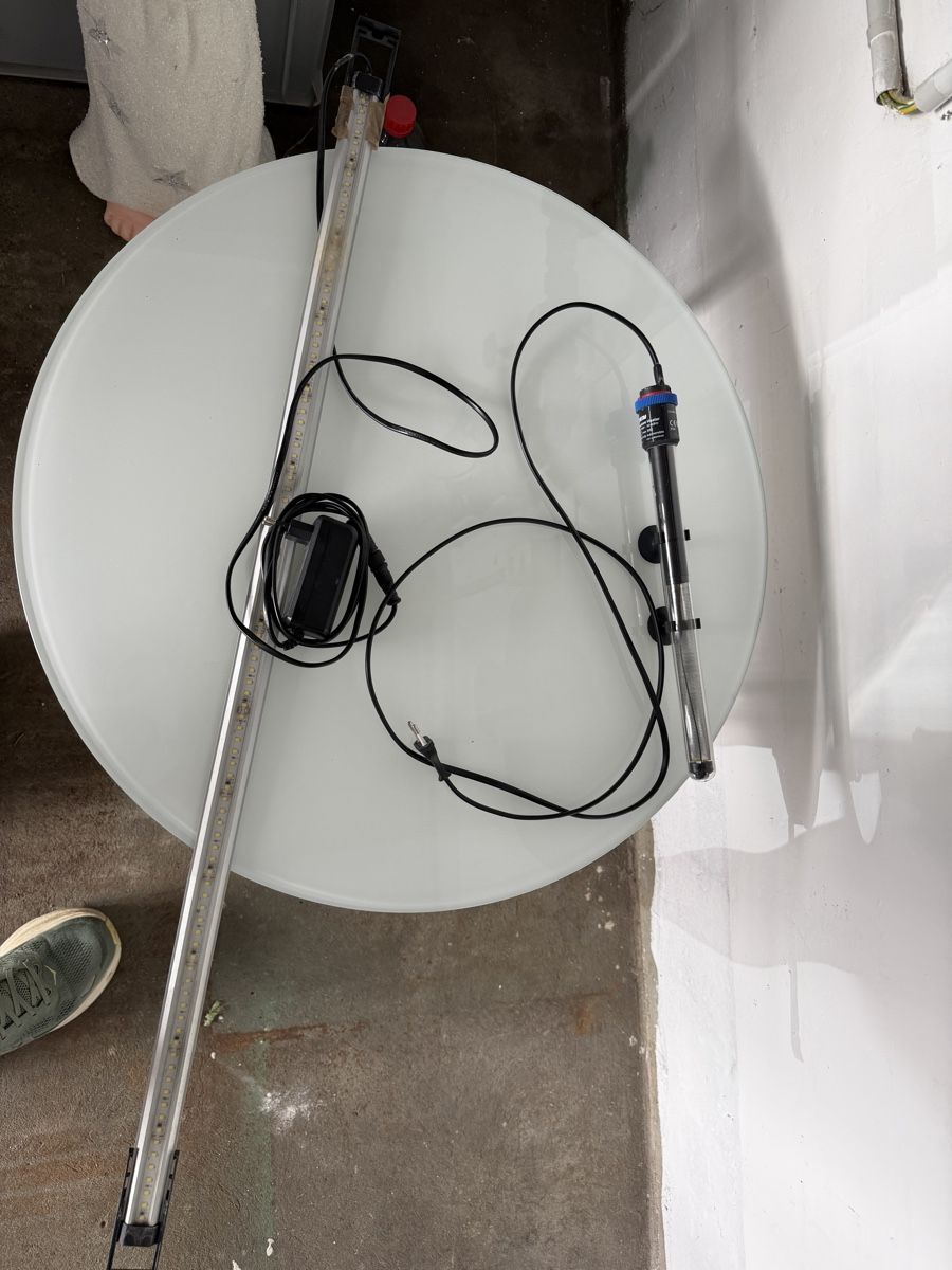 Aquarium: Aquarium 240 liter – Gebraucht aus Busswil BE von FLURIBOY1 2