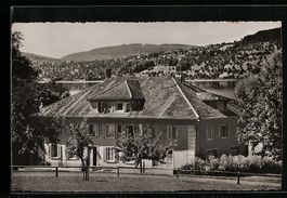 AK Meisterschwanden, Hotel Seerose, 1951