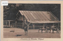 Bruderhaus bei Winterthur - Wildpark