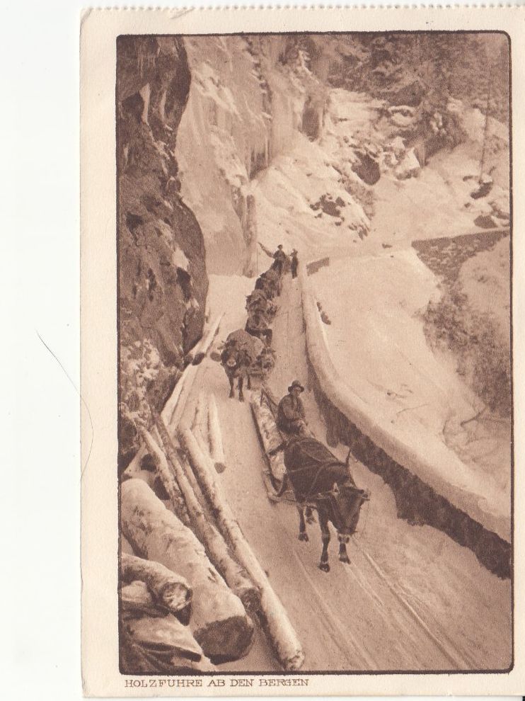 Ansichtskarten: Holzfuhre 1920 – Gebraucht aus Bürglen TG von StampGraf