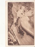 Holzfuhre 1920