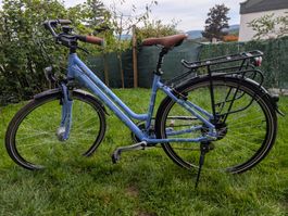 Trekking/Citybike from Landi