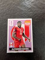 Extra Sticker Davies Pink