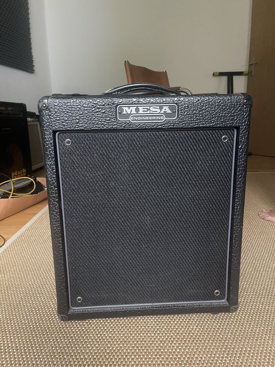Mesa Boogie Amplificatori: Mesa Boogie WalkAbout Bass Combo – Usato da Mühlethal venduto da leandrawolf