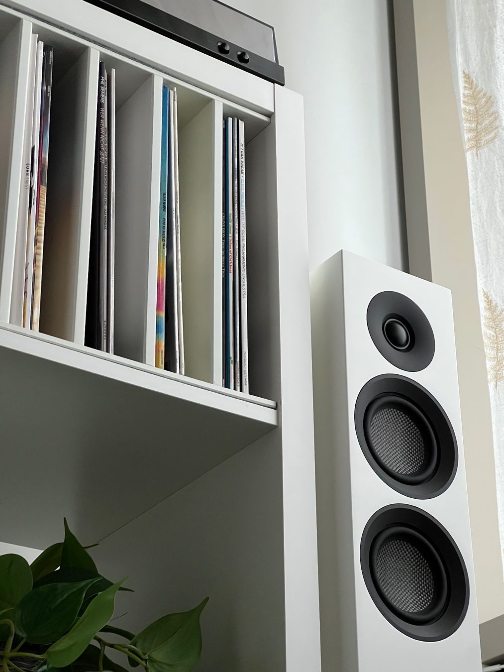 Pro-ject Casse acustiche: Pro-Ject Speaker Box 10 E Carbon - 1 Paar - mit Garantie – Usato da Basel venduto da audiophiler 2