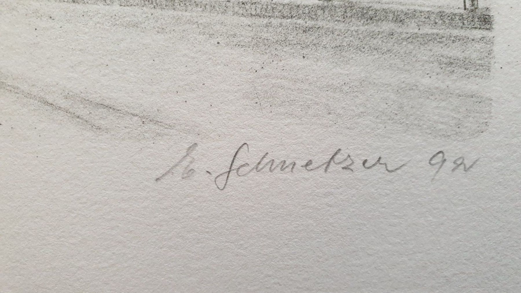 Grafica & Litografie: Rorschach. Lithografie von Schnetzer. – Usato da Goldach venduto da armando_r 3