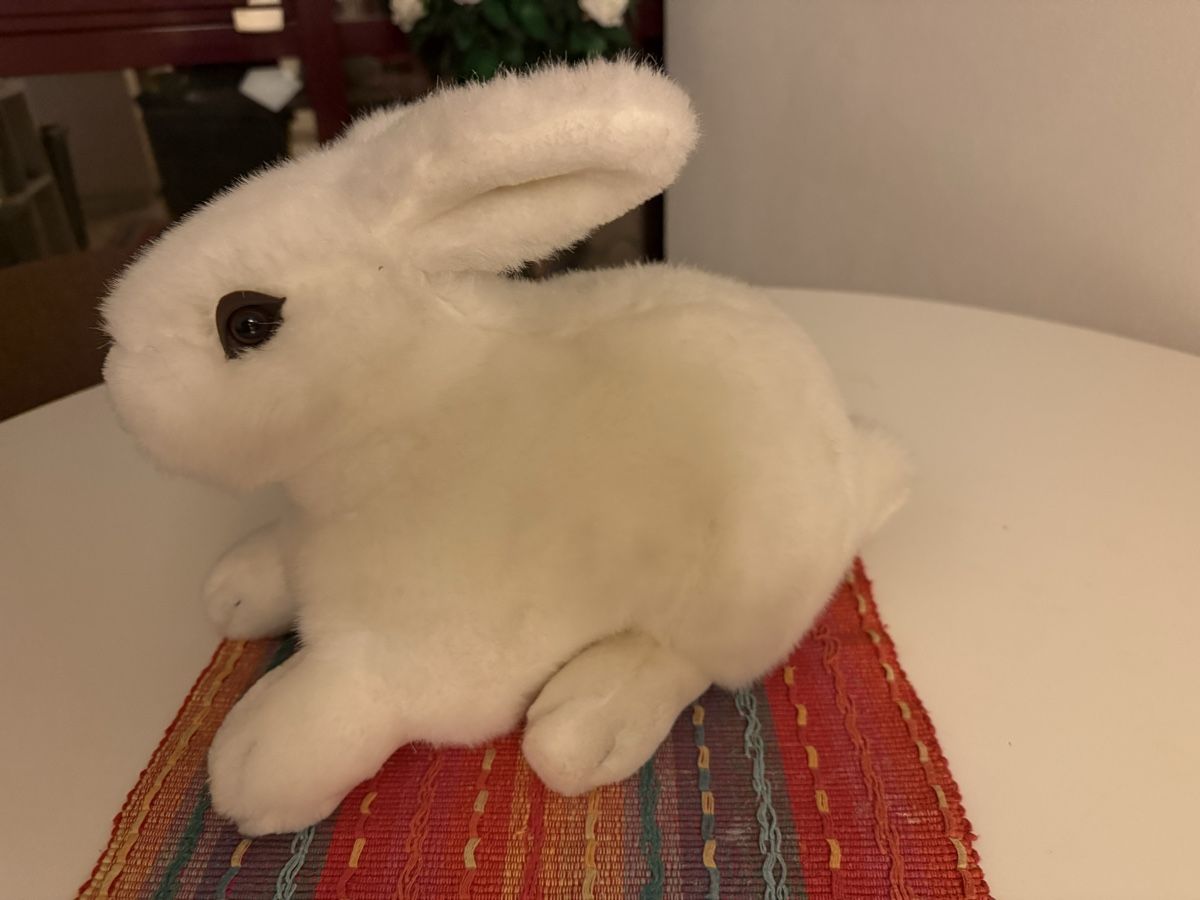 Giocattoli: Adorable Plush Bunny Toy - Perfect Spring Gift! Soft – Nuovo (secondo la descrizione) da Nyon venduto da raz_7y76 1