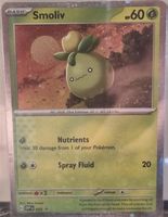 Pokémon – Smoliv 🇺🇸 - SVP-023 - SV Black Star Promos